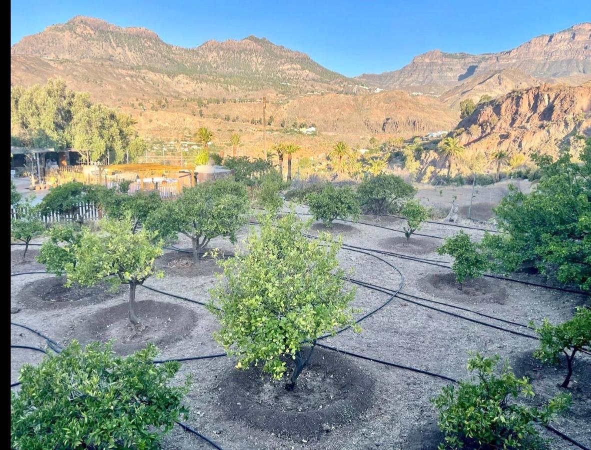 Casa Rural La Limera Con Piscina Privada Santa Lucia De Tirajana Екстер'єр фото