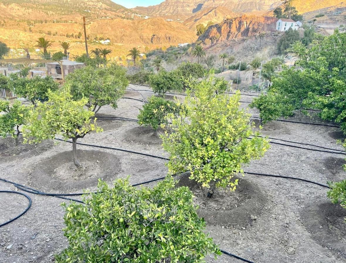 Casa Rural La Limera Con Piscina Privada Santa Lucia De Tirajana Екстер'єр фото